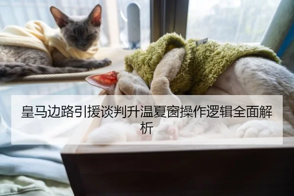 皇马边路引援谈判升温夏窗操作逻辑全面解析